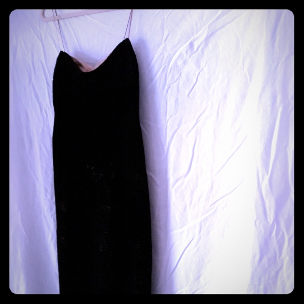 BCBG MaxAzria  Velvet gown, rose gold satin lining